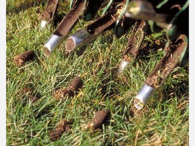 Aerate and Overseed This Fall to To Have a Beautiful Lawn Next Spring!